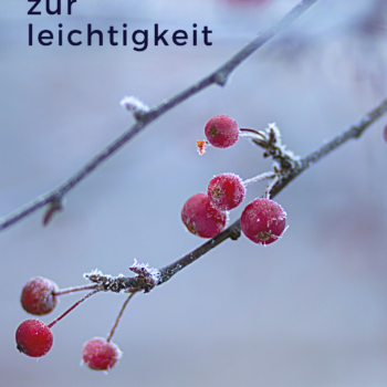 gedankenstriche